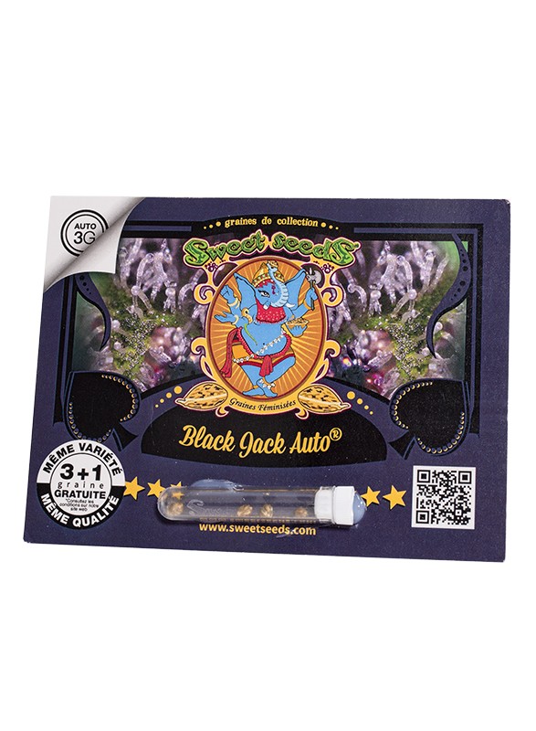 FR - Black Jack Auto® 3+1