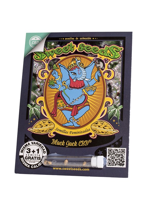 ES - Black Jack CBD® 3+1