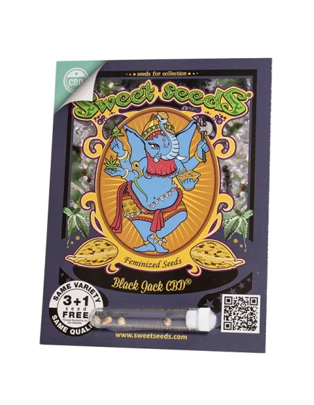 EN - Black Jack CBD® 3+1