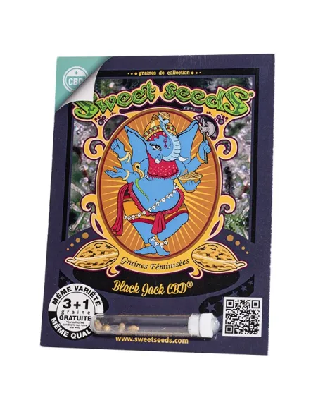 FR - Black Jack CBD® 3+1