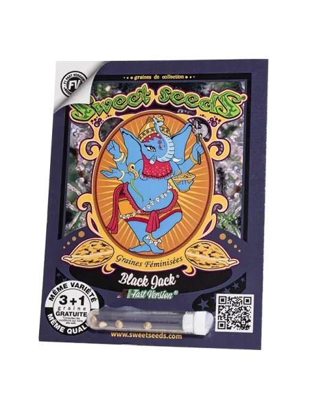 FR - Black Jack F1 Fast Version® 3+1