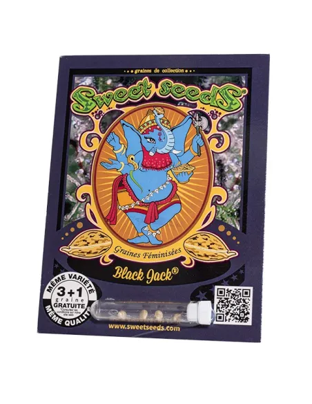 FR - Black Jack® 3+1