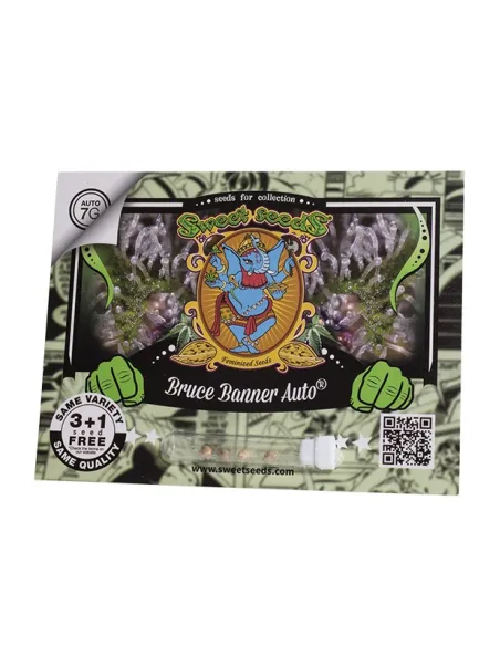 EN - Bruce Banner Auto® 3+1