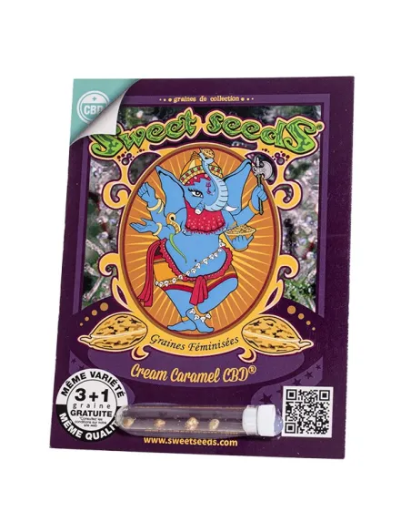 FR - Cream Caramel CBD® 3+1