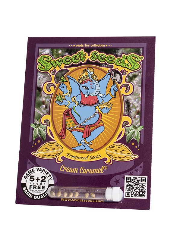 EN - Cream Caramel® 5+2