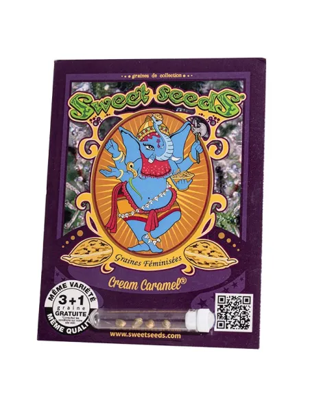 FR - Cream Caramel® 3+1