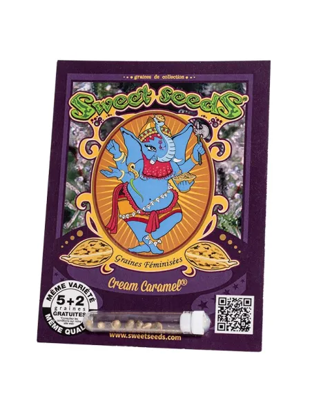 FR - Cream Caramel® 5+2