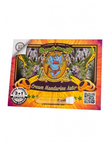 Cream Mandarine Auto®