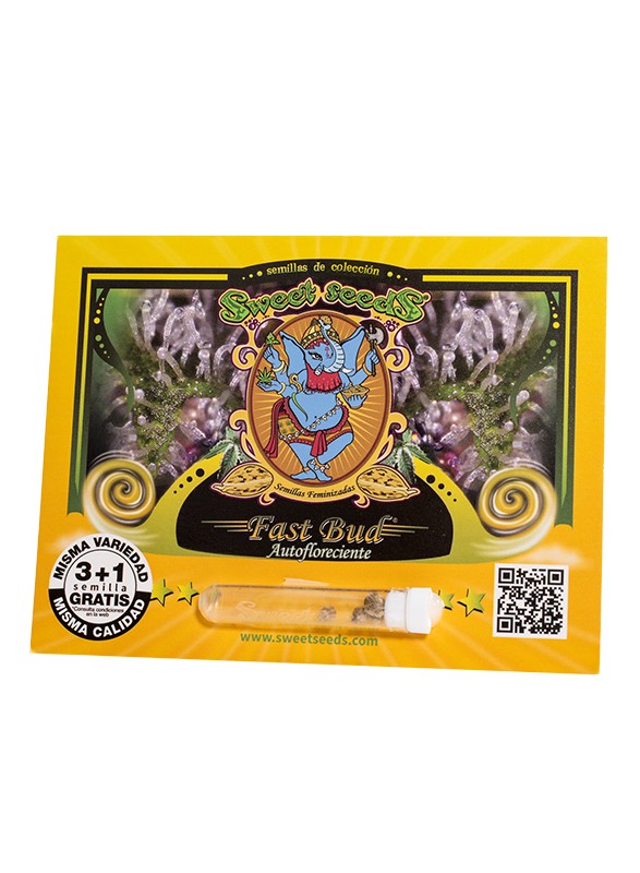 ES - Fast Bud Auto® 3+1