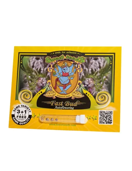 EN - Fast Bud Auto® 3+1