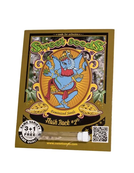 EN - Flash Back #2® 3+1