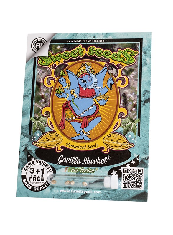 EN - Gorilla Sherbet F1 Fast Version® 3+1