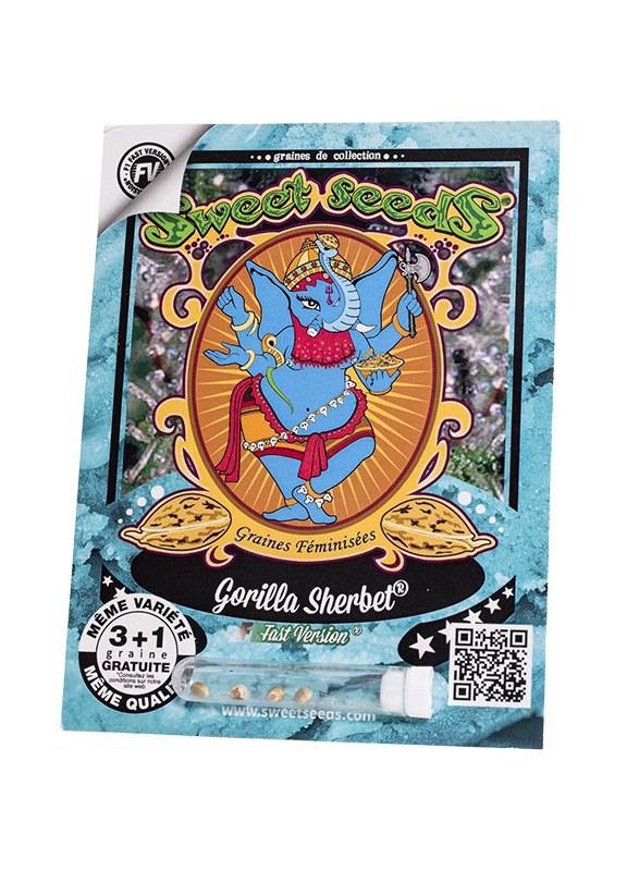 FR - Gorilla Sherbet F1 Fast Version® 3+1