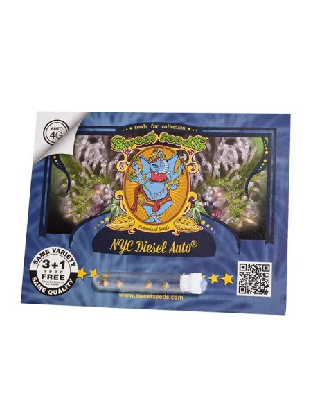 EN - NYC Diesel Auto® 3+1