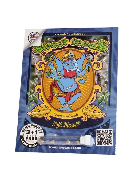 EN - NYC Diesel® 3+1