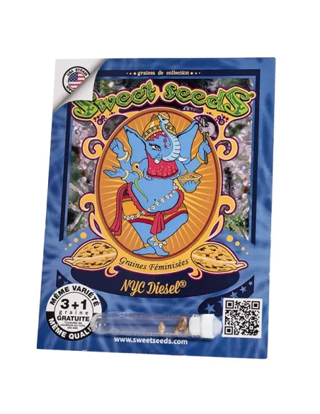 FR - NYC Diesel® 3+1