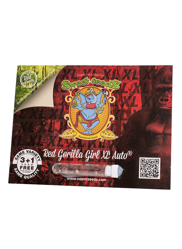 EN - Red Gorilla Girl XL Auto® 3+1