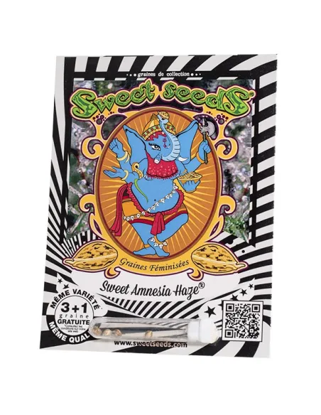 FR - Sweet Amnesia Haze® 3+1