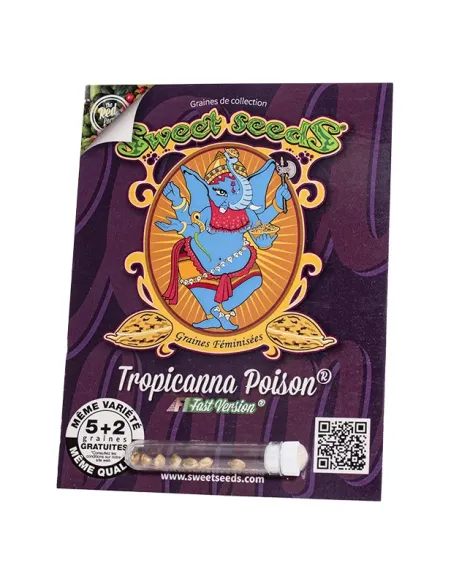 FR - Tropicanna Poison F1 Fast Version® 5+2