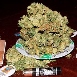 Crystal Candy XL Auto®