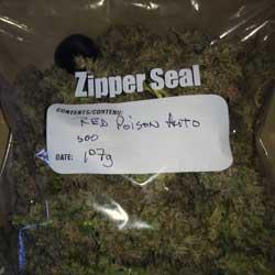 Seguimiento de cultivo de Red Poison Auto®