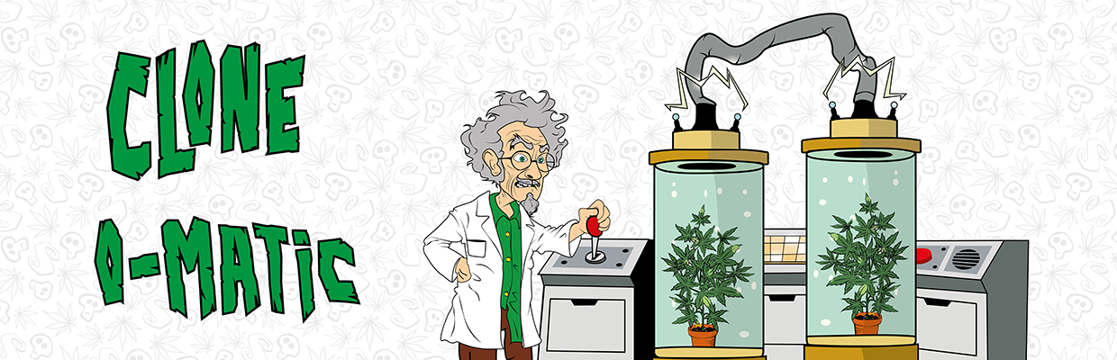 Cómo hacer esquejes de marihuana