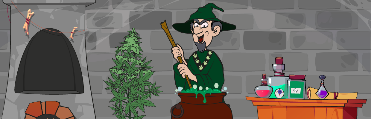 ¿Cómo dar olor a los cogollos de tu planta?