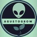 AGUSTOGREEN