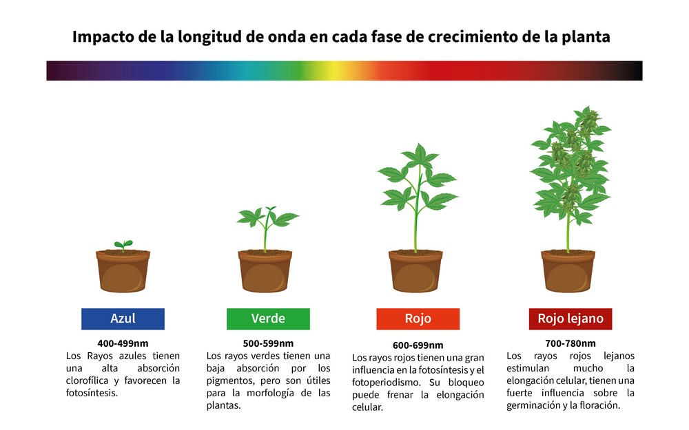 Full spectrum con luz led