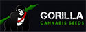 GORILLA CANNABIS SEEDS