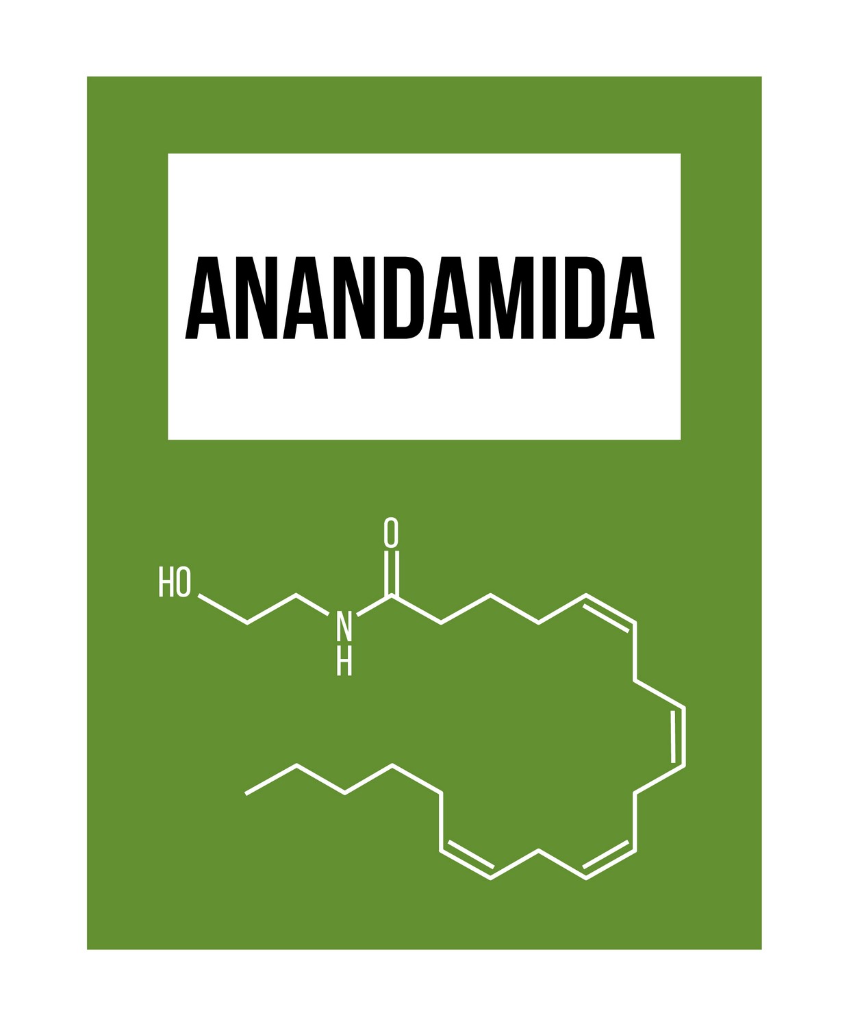 Anandamida