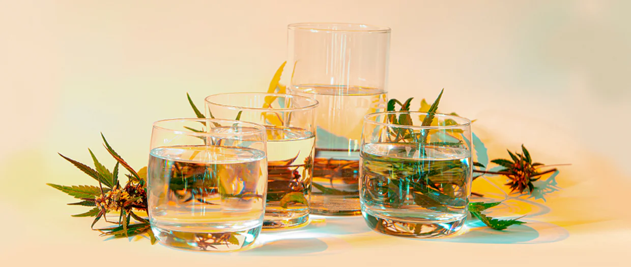 Técnicas de rehidratación