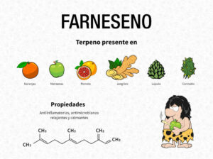 Propiedades químicas del farneseno