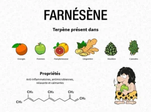Propriétés chimiques du farnésène