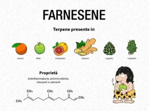 proprietà chimiche del farnesene