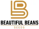 Beautiful Beans Seeds