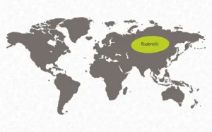 Mapa origen Cannabis Ruderalis.