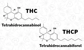 THC-THCV