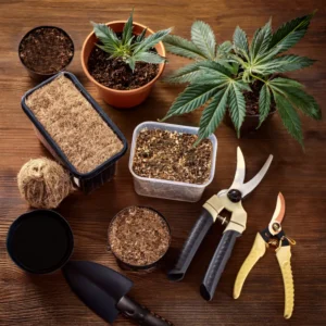 Materiales necesarios para hacer esquejes de marihuana