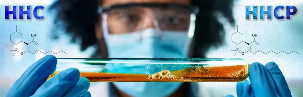 Qué es el HHC-P y en qué se diferencia del HHC