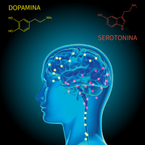 THC y su efecto psicoactivo: ¿qué provoca en el cerebro?