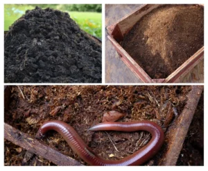 estiercol guano humus