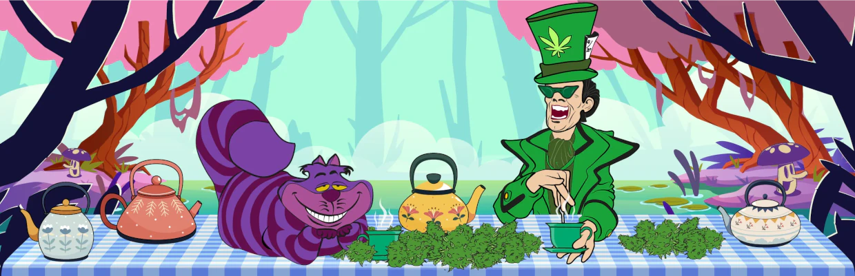 ¿Cómo hacer té de marihuana?