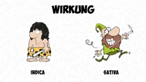 Der Unterschied zwischen Cannabis Indica und Sativa: Wirkungen