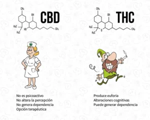 Diferencias entre CBD y THC