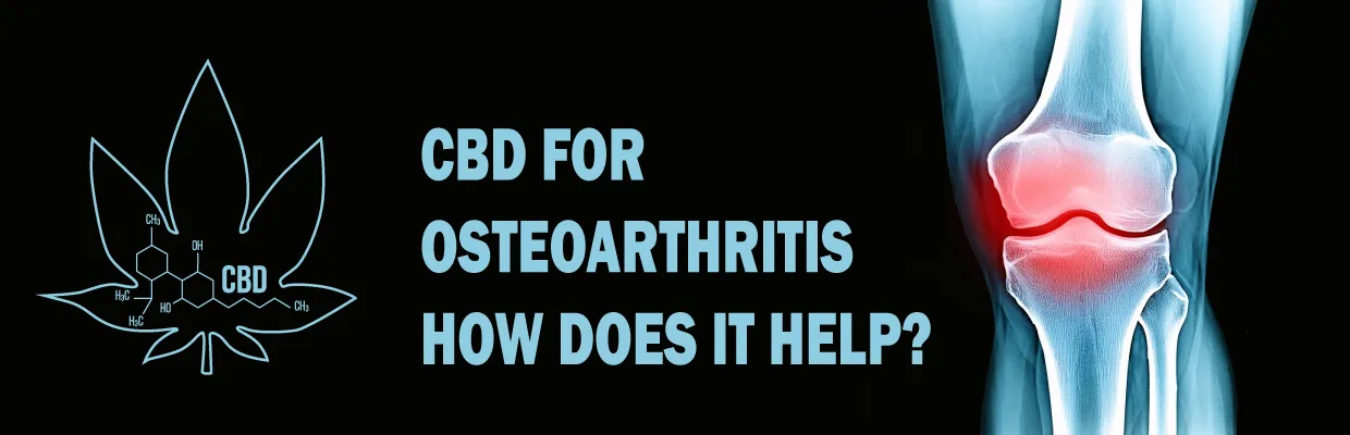 CBD for Osteoarthritis: How Can It Help?
