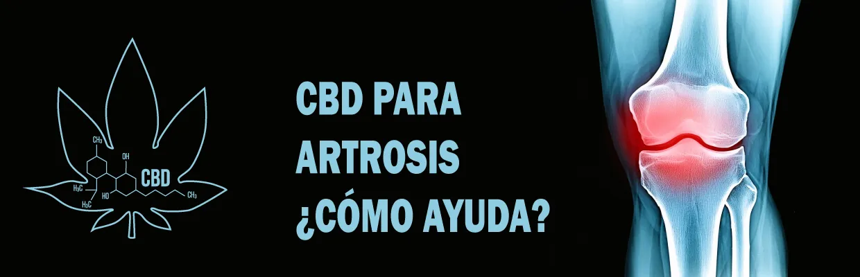 CBD para artrosis. ¿Cómo ayuda?