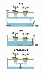 Técnica FILM, DWC y AERO.