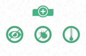 Ventajas de cultivar en invierno