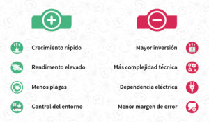 Pros y contras de los sistemas hidropónicos para marihuana.